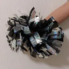 POMCHE チアポンポン