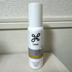 Item thumbnail for item 07e51861-237c-4fdf-9cfb-7390f1191211