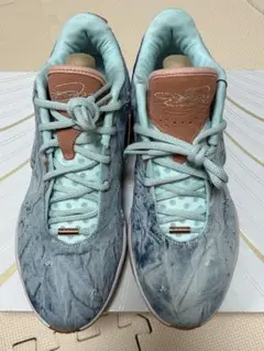 LEBRON XXI EP 30.0cm