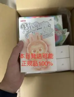 【正規品・未開封】Labubu Big into Energy 1箱