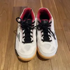 バドミントン シューズ ミズノ MIZUNO 21cm スカイブラスター 3