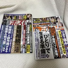 週刊ポスト　グラビア　南野陽子　相続　松田優作　市販薬　ひとりで生きる準備