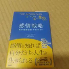 感情戦略