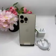 新品 iPhone 13ProMax 256GB ゴールド国内版SIMフリー