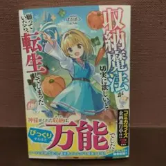 収納魔法が切実に欲しいと願っていたら、転生してしまった