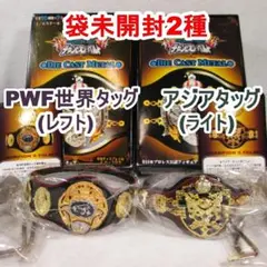 全日本プロレスチャンピオンベルト　ダイキャスト　スケール10個+シークレット 全日本プロレス チャンピオンベルト10種コンプリート