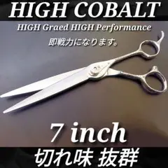 Item thumbnail for item 85a864f9-3704-47ac-83fb-214e5761c88d