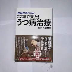 ここまで来た!うつ病治療