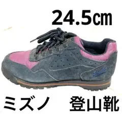 ミズノ　24.5㎝　トレッキング　登山