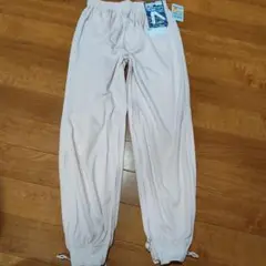 Item thumbnail for item 582cd400-3b2a-4563-8b66-9dc0cd878c43