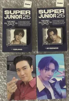 SUPERJUNIOR SMINI YESUNG RYEOWOOK