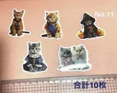 Item thumbnail for item 55a4ce5d-c5ac-46eb-b43b-bd3ab129b256