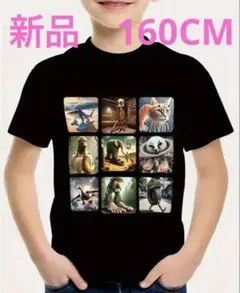 キャラクターグラフィック Tシャツ 黒 5大きさ