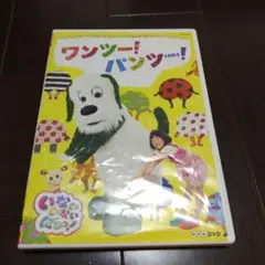 NHK DVD いないいないばあっ!ワンツー!パンツー!