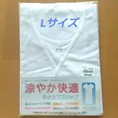 Item thumbnail for item ed488789-8480-4a84-b570-d9f0a6bf7129