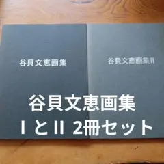 谷貝文恵画集 ⅠとⅡ 2冊セット
