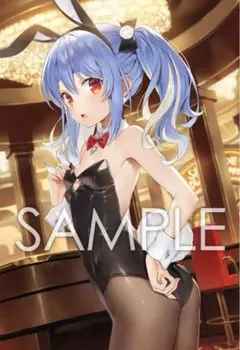 正規品 未開封 A1タペストリー ホロライブ 兎田ぺこら 憂姫はぐれ 2025年最新】憂姫はぐれ 兎田ぺこら タペストリーの人気アイテム