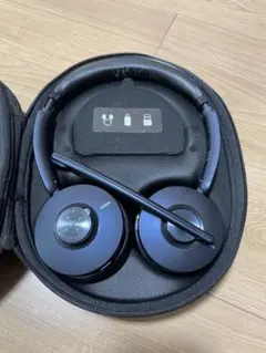 Item thumbnail for item 2c6d6b9e-2663-4fbf-b46a-15f919ca869f