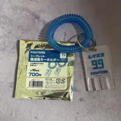 シークレット 銭湯風キーホルダー フランミル レイエス ファイターズ