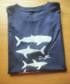 SHIPS Tシャツ 150cm　水濡で色変更