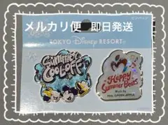 東京ディズニーリゾート　サマークールオフ　ピンバッジ