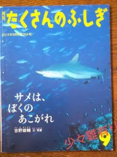 たくさんのふしぎ『サメは、ぼくのあこがれ』