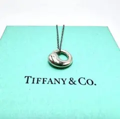 Tiffanyu0026Co. ティファニー ネックレス エターナル サークル シルバー