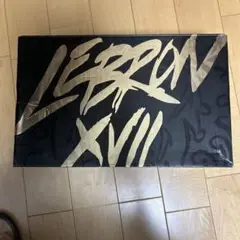 Item thumbnail for item bdbc3d9d-c07a-4564-af02-e1e84b949cbd