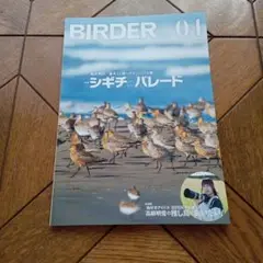 BIRDER 2024年4月号