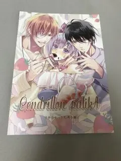 サンドリヨンパリカ ステラワークス特典 小冊子 サンドリヨンパリカ ステラワークス特典 小冊子 - メルカリ