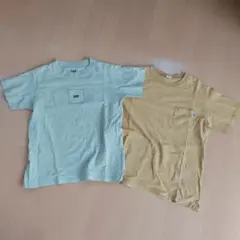 Lee＆EDWIN ベージュ＆イエロー Tシャツ 150cm
