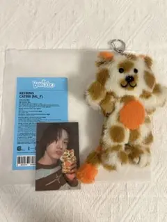 CATBBI ソンホ ケッピ キャッピー ぬいぐるみ トレカ付き