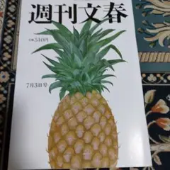 週刊文春2025.7月 全4セット