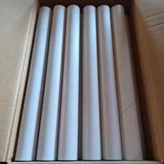 Item thumbnail for item 03a1a1f6-ae37-4d0f-9bd1-46e1d6e5350b