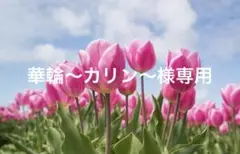 ルイヴィトンハンカチ モノグラム トランク柄