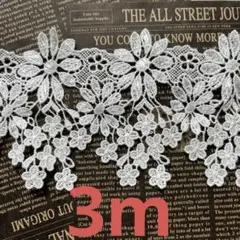 ＊0055 レース 3m