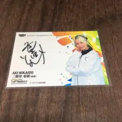 Item thumbnail for item 868cbad7-29a6-4d33-bf91-22acf1212fd5