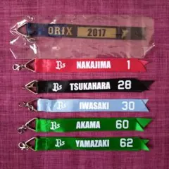 オリックス選手ボンフィン(2017年頃)
