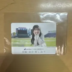 乃木坂46 宮城・仙台 旅しおり