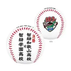甲子園　決勝ボール　ケース付き