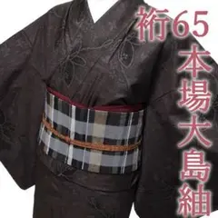 本場大島紬 着物 袷 7マルキ カタス式 有色 紬 裄65 M 中古 sn442