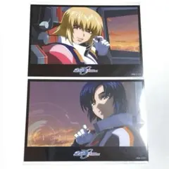 ハウメアの譲り石　ガンダムseed gundam seed  haumea m33191931834_1.jpg?1741530581
