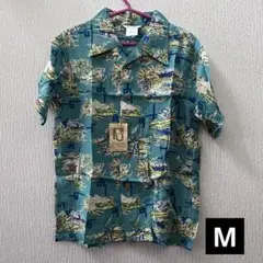 Item thumbnail for item c12b5205-cf14-49d9-adcc-28c47c1cf1b7