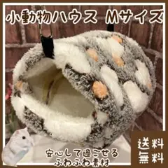 Item thumbnail for item 80a6f133-1bd9-499b-b573-47fcf99e8720