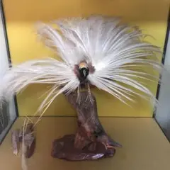 鳥の剥製
