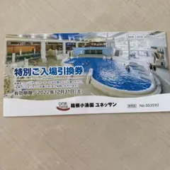 箱根小涌園 ユネッサン 特別ご入場引換券