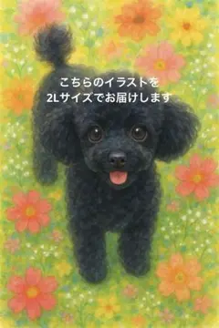 黒いプードルのイラスト　2Lサイズ