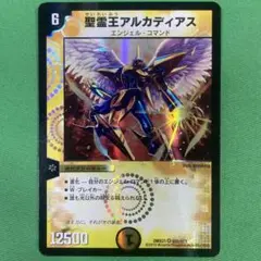 2025年最新】Hアルカディアス シークレットの人気アイテム