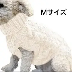 Item thumbnail for item 8f0b642c-521d-4ca0-9aa2-e29aef6bff01