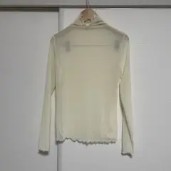 Item thumbnail for item 48803863-d1d4-474d-bd40-219c56bb956f